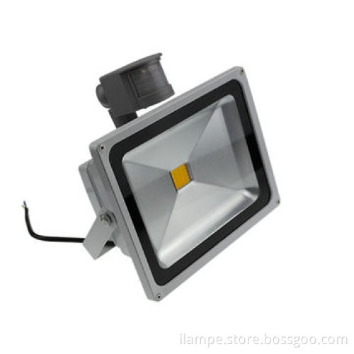 Shenzhen Lamp Manufacturer, 30W LED Floodlight with Sensor